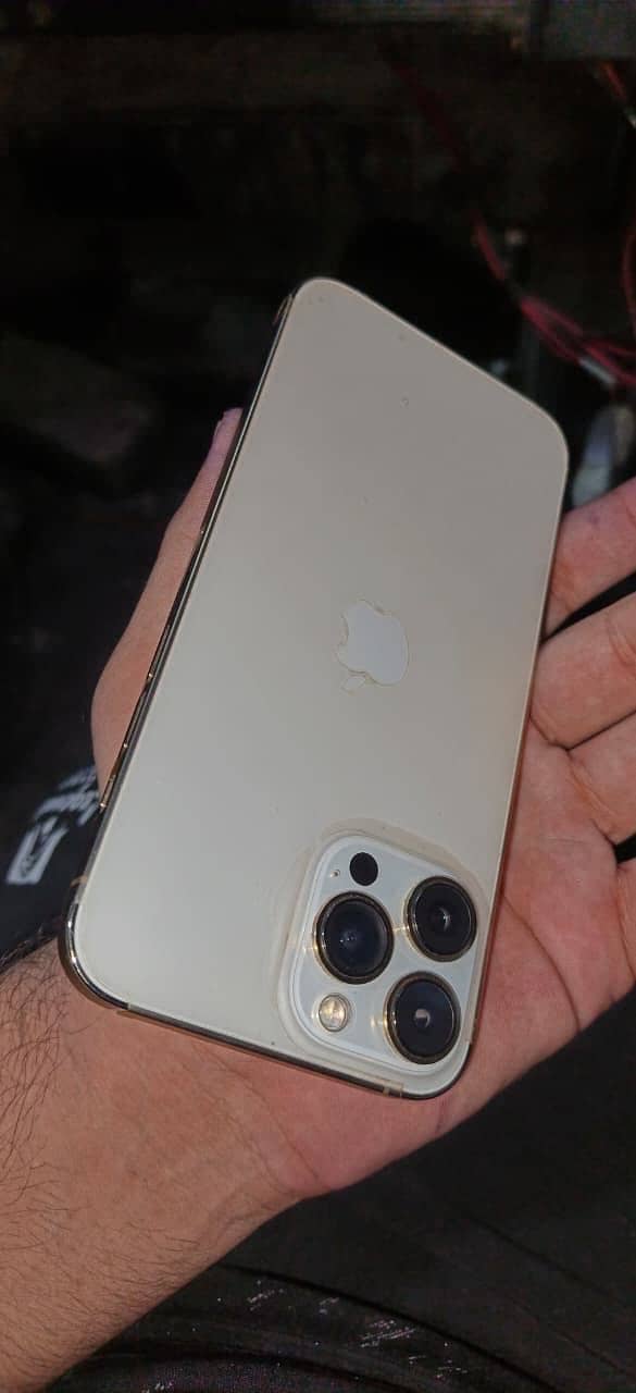 Apple iPhone 13 Pro Max 1