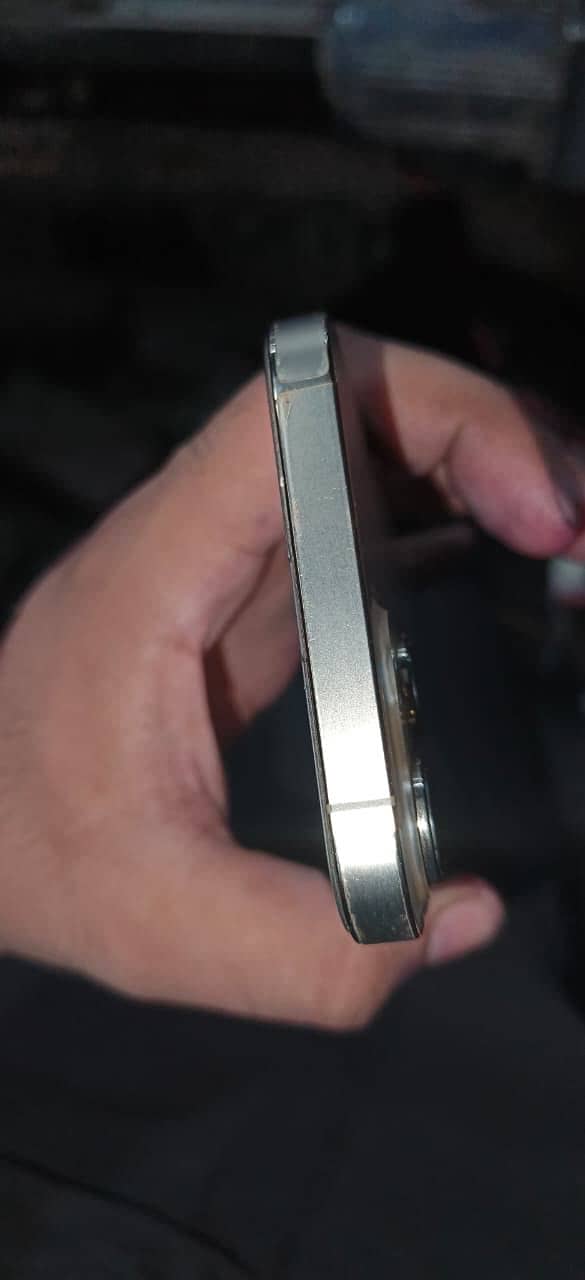 Apple iPhone 13 Pro Max 3