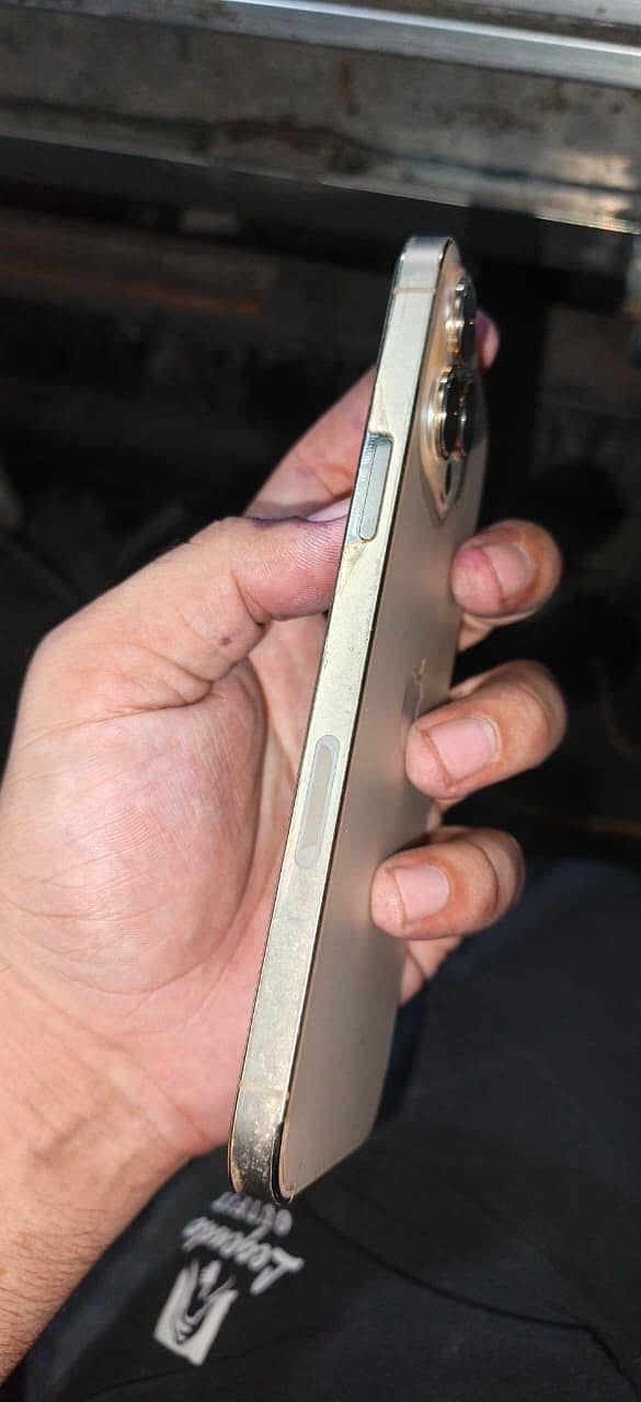 Apple iPhone 13 Pro Max 4
