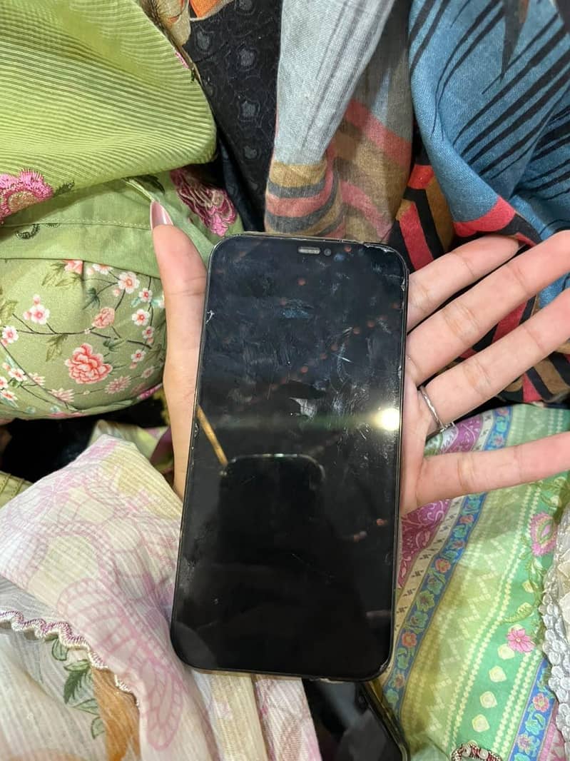 Apple iPhone 12 Pro Max 1