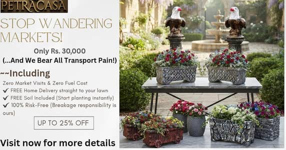 TRANSFORMATION OF YOUR DREAMS GARDEN