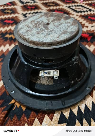 woofer 8"