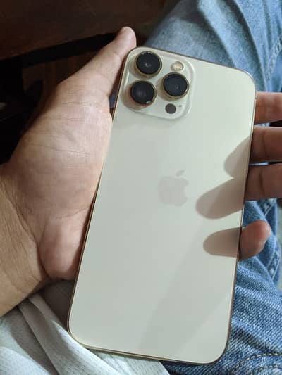 Apple iPhone 13 Pro Max