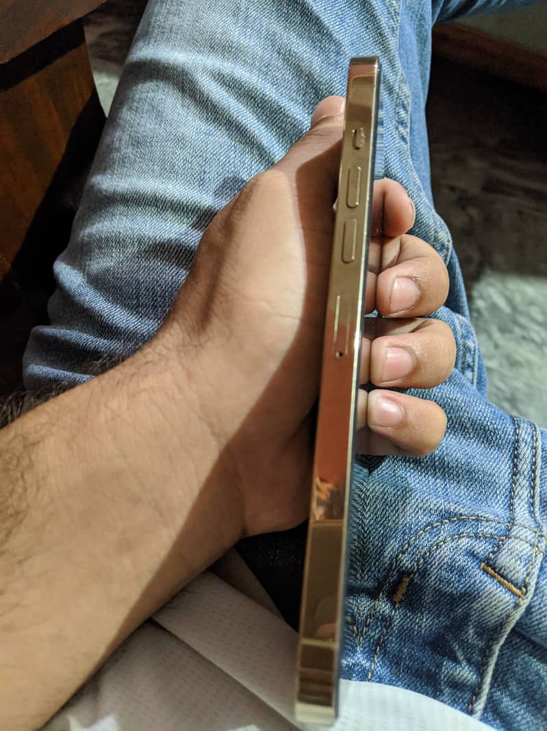 Apple iPhone 13 Pro Max 1