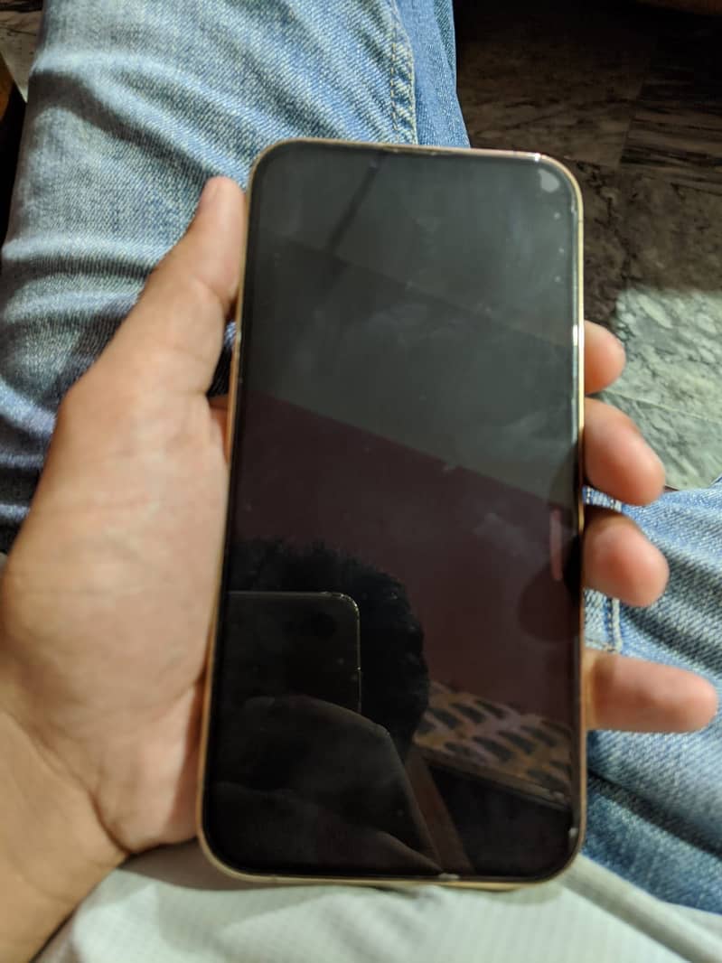 Apple iPhone 13 Pro Max 2