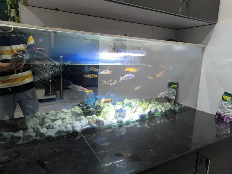 3d aquarium only fish viable with lights. — photo 6