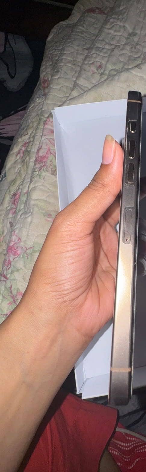 Apple iPhone 16 Pro Max 1