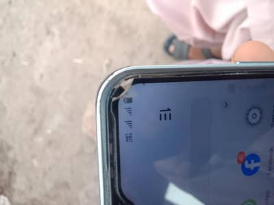 vivo y
