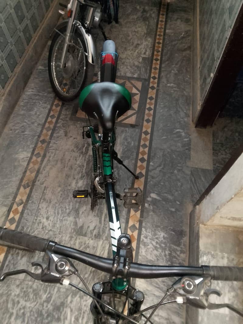 spot cycle 6
