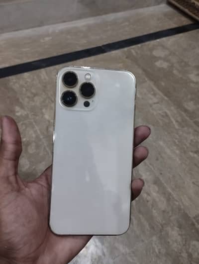 Apple iPhone 13 Pro Max
