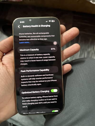 Apple iPhone 13 Pro Max