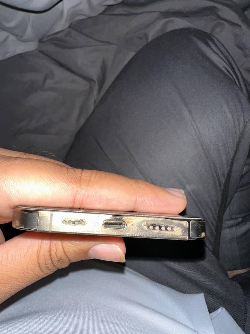 Apple iPhone 13 Pro Max 2