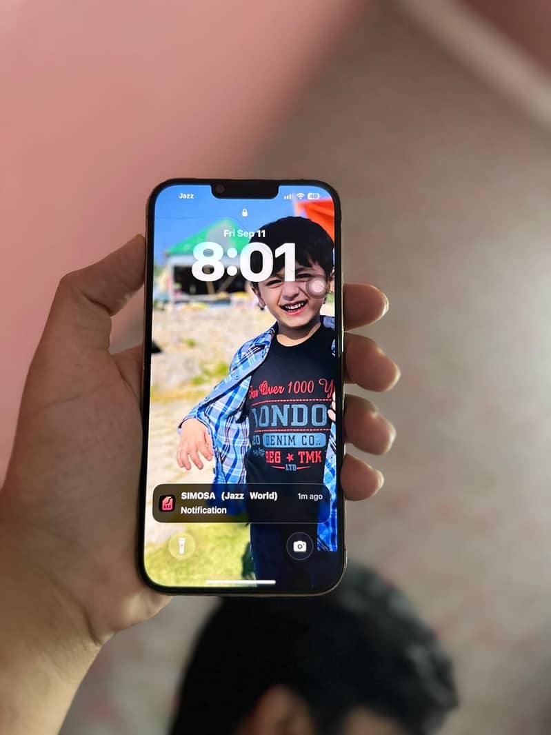 Apple iPhone 13 Pro Max 3