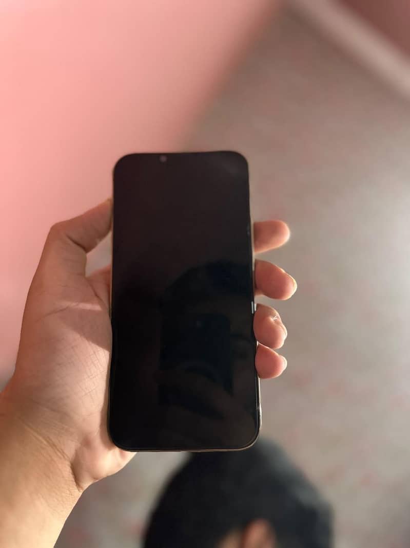 Apple iPhone 13 Pro Max 6