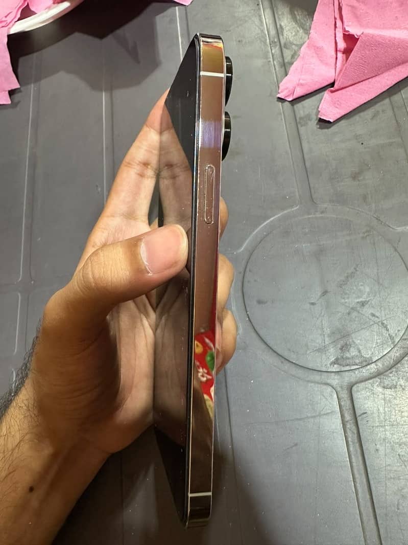 Apple iPhone 13 Pro Max 2
