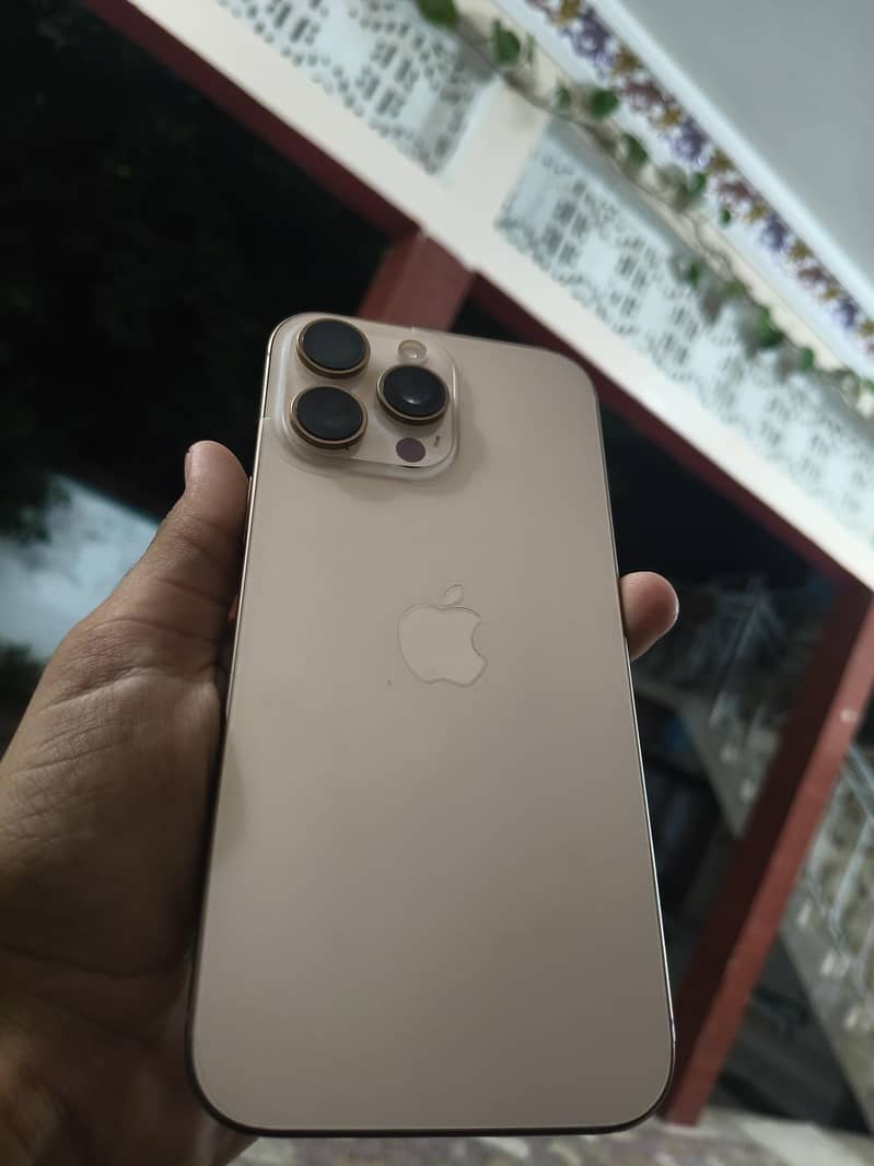 Apple iPhone 16 Pro Max 1