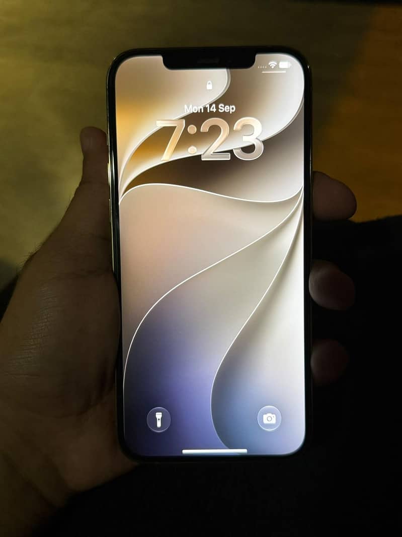 Apple iPhone 12 Pro Max 3