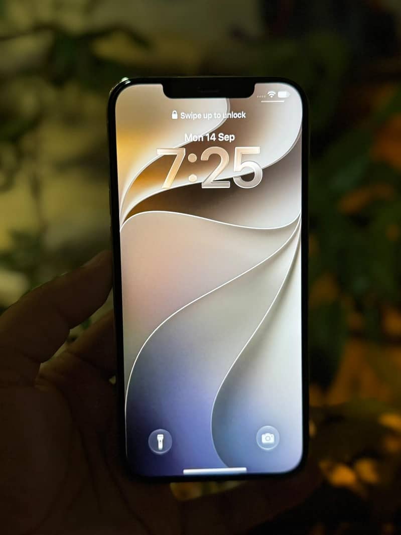 Apple iPhone 12 Pro Max 5