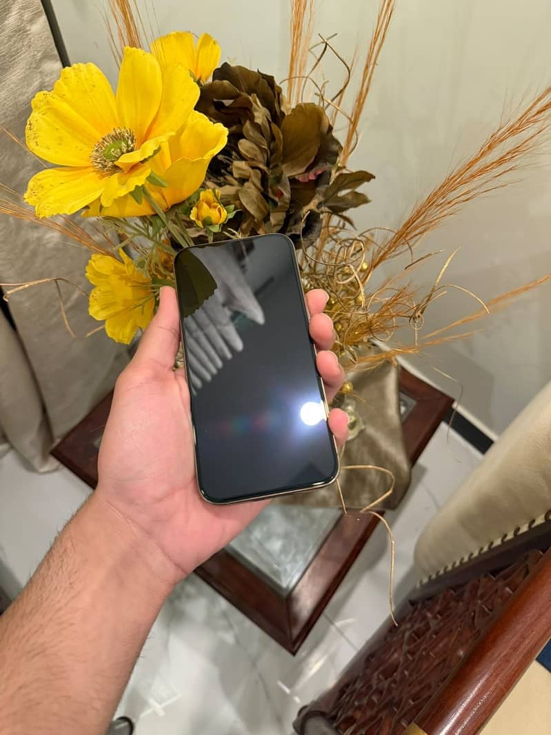 Apple iPhone 16 Pro Max 1