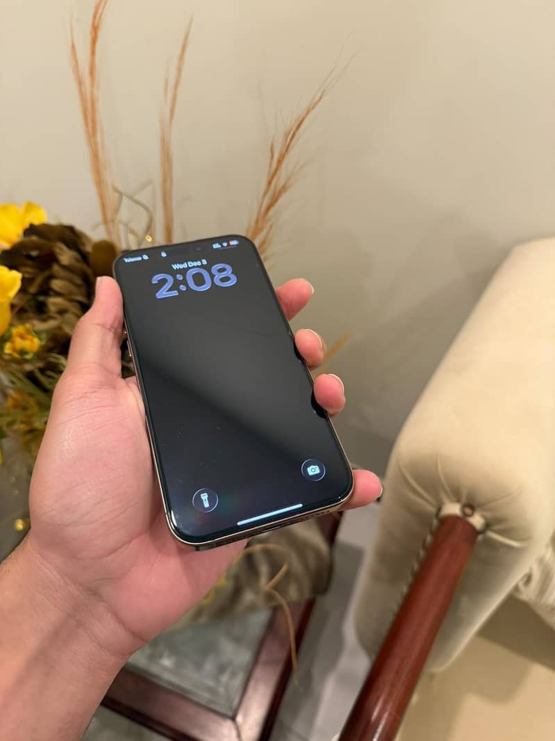 Apple iPhone 16 Pro Max 2