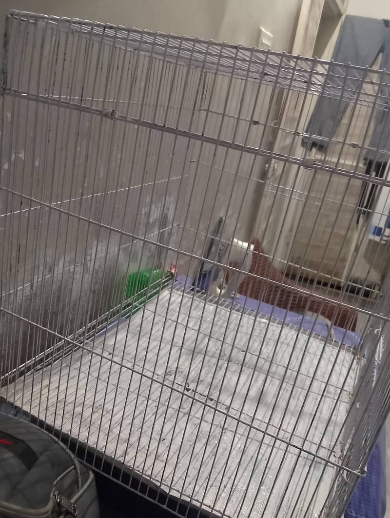 new condition  cage 2