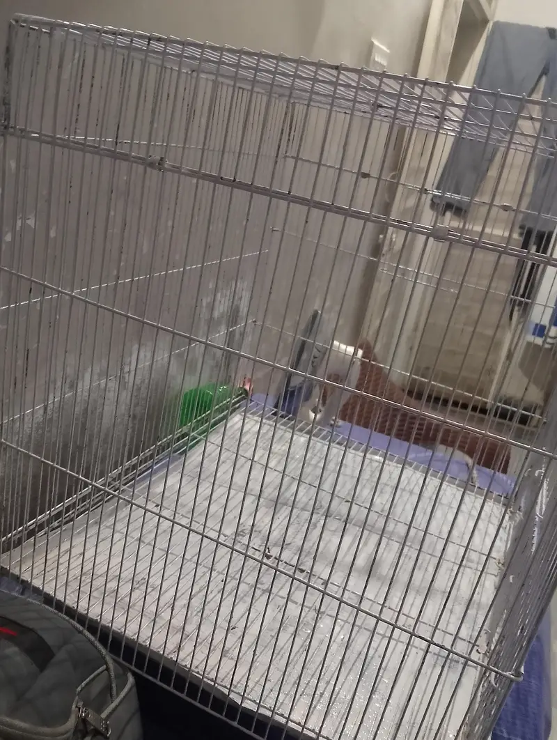 new condition  cage — photo 3