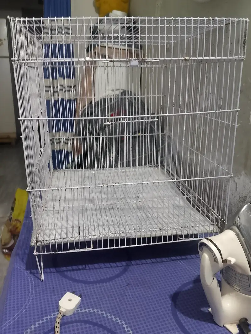 new condition  cage — photo 4