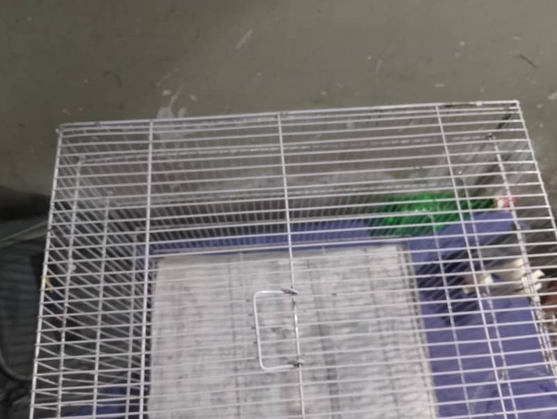new condition  cage 4