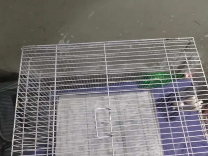 new condition  cage — photo 5