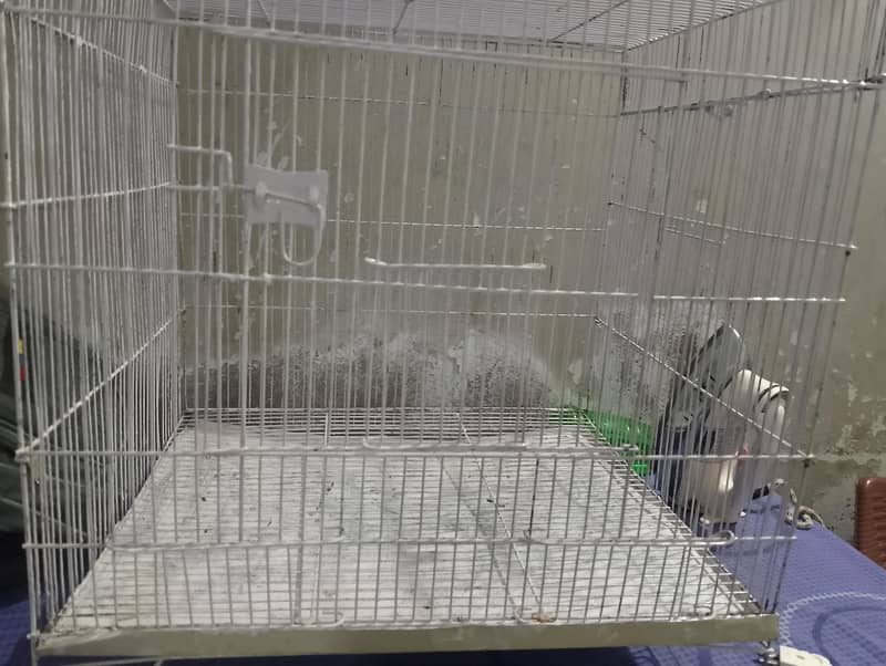 new condition  cage 5
