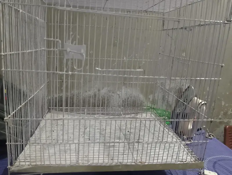 new condition  cage — photo 6
