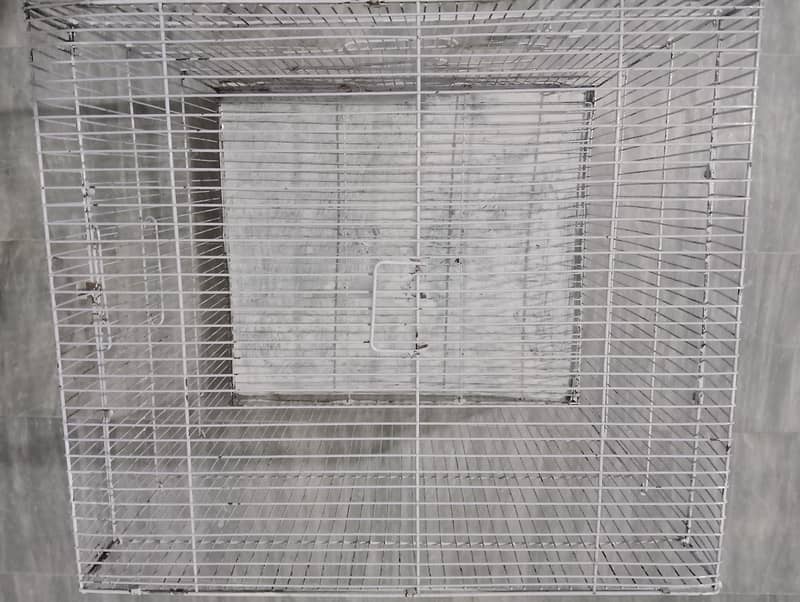 new condition  cage 6