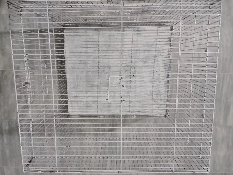 new condition  cage — photo 7