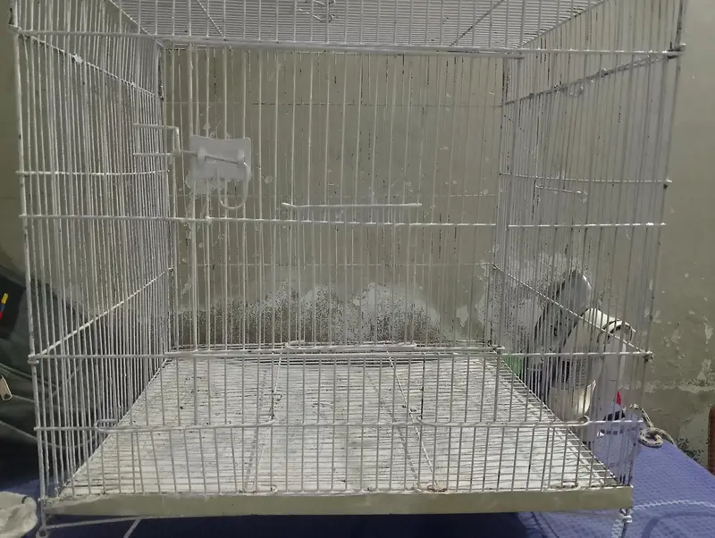 new condition  cage — photo 8