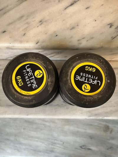 6 kg dumbells pair for Sale