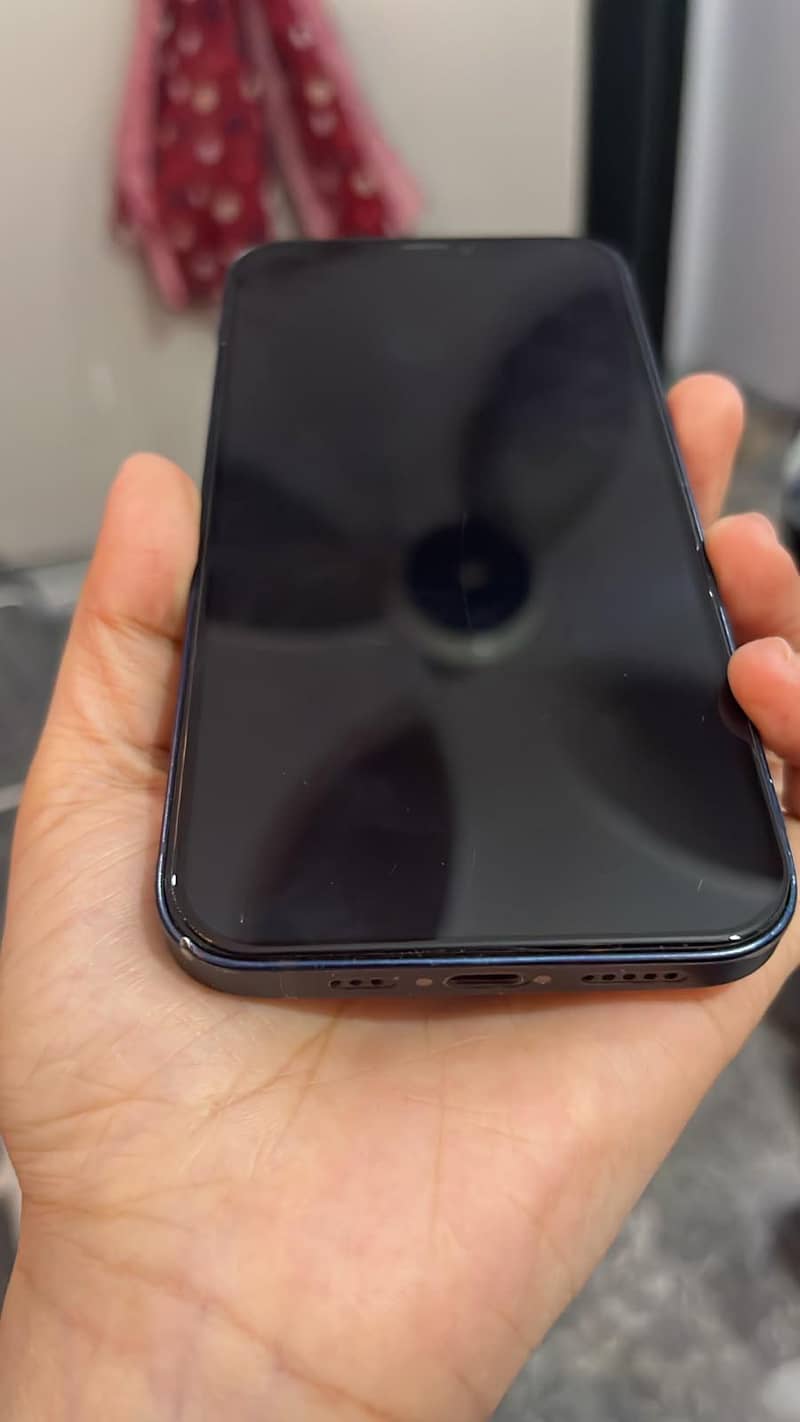 Apple iPhone 12 1