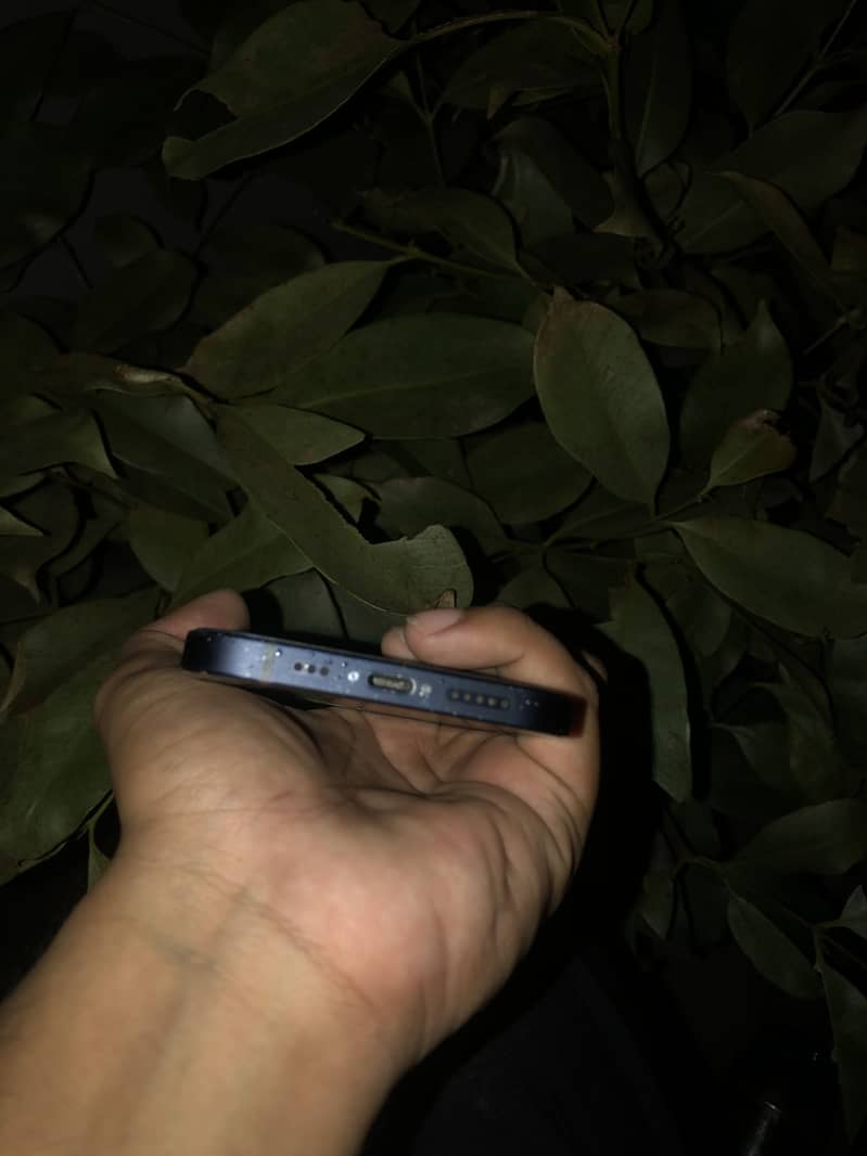 Apple iPhone 12 1