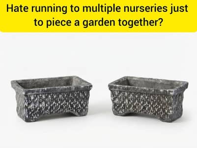 TRANSFORMATION OF YOUR DREAMS GARDEN