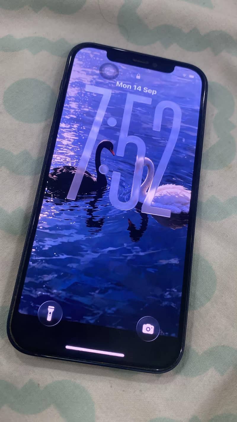 Apple iPhone 12 6