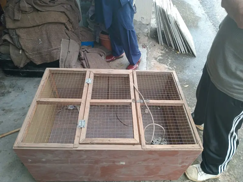 Chicken Cage Small — photo 2
