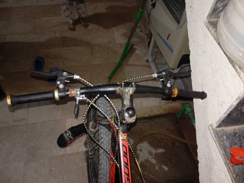bicycle 1