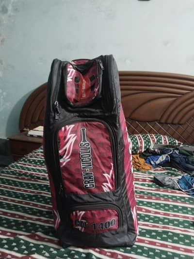 professional cricket kit for a professional cricketer