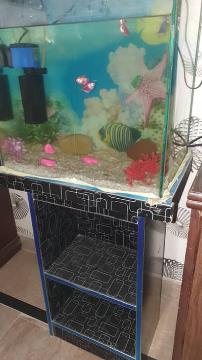 Fish Aquarium
