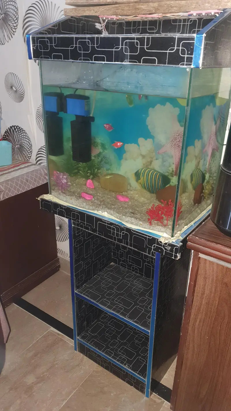 Fish Aquarium — photo 2