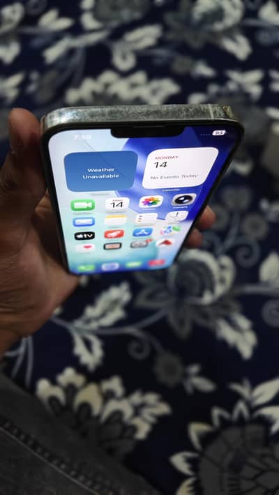 Apple iPhone 13 Pro Max