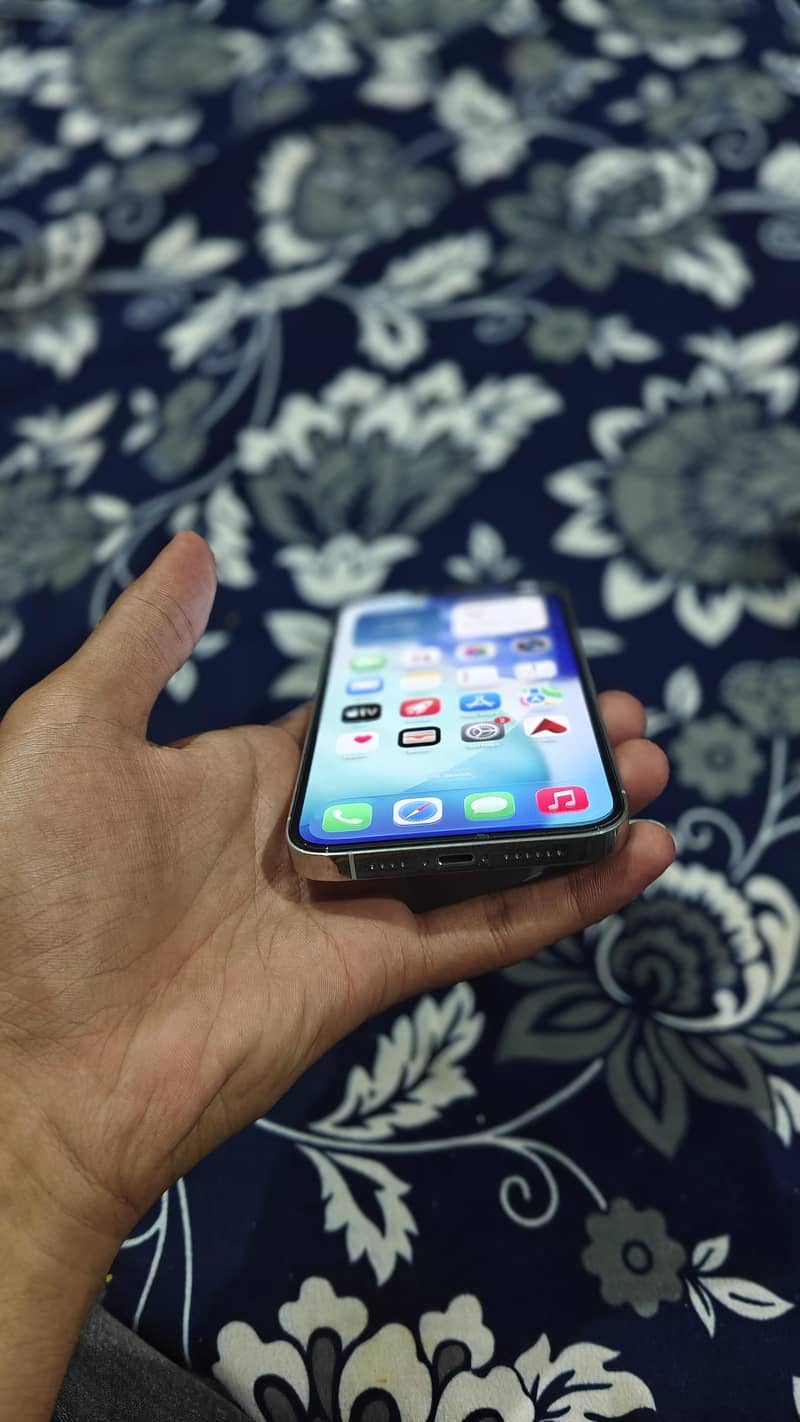 Apple iPhone 13 Pro Max 1