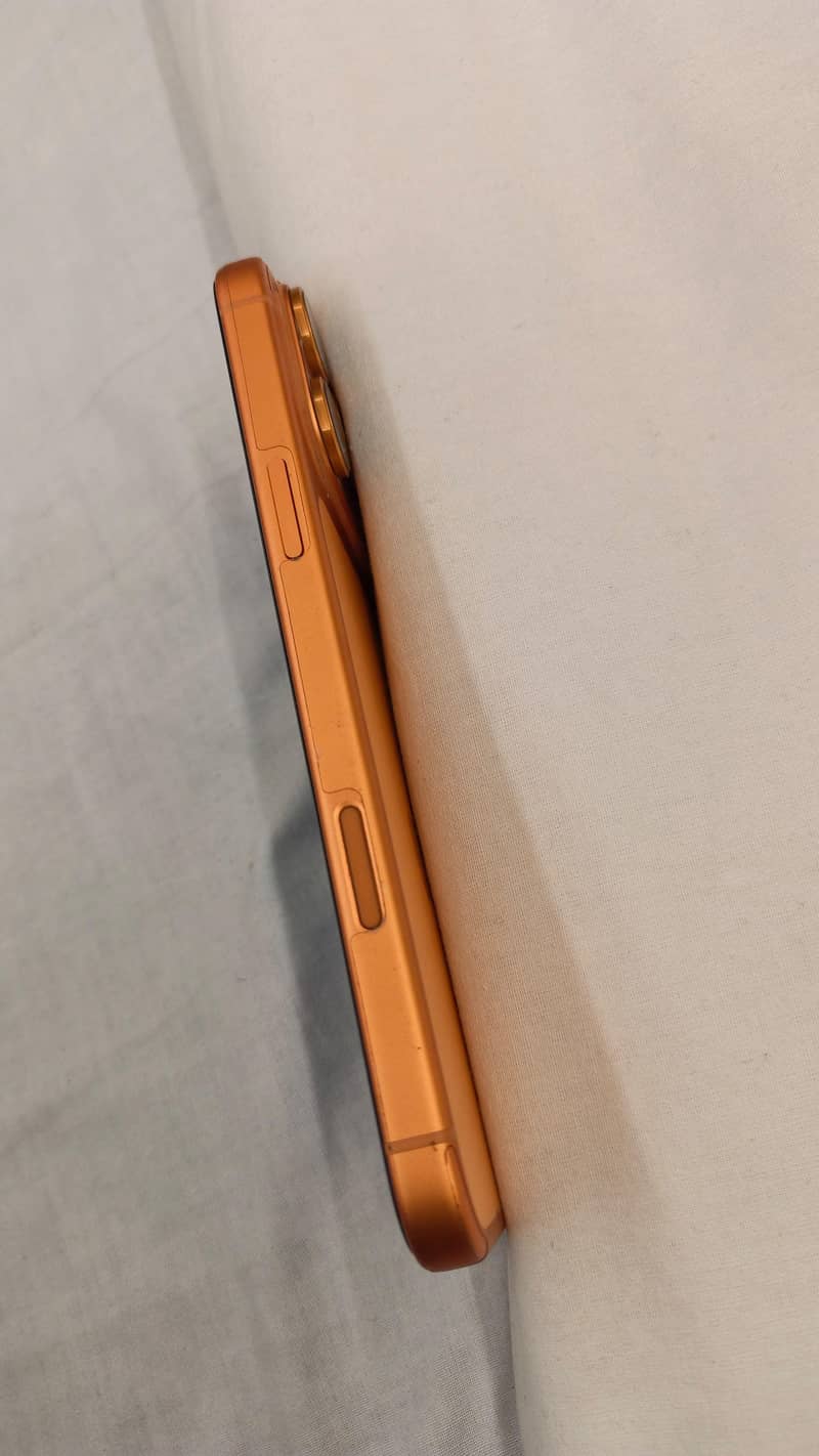 Apple iPhone 17 Pro Max 4