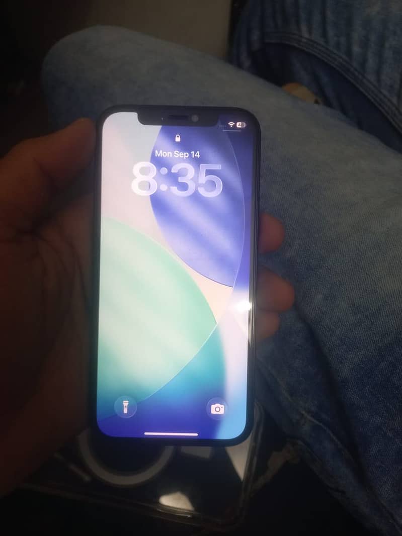 Apple iPhone 12 1