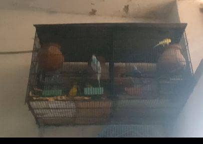 urgent for sale