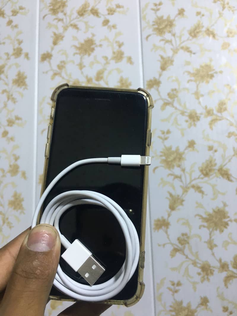 Apple iPhone 6 6